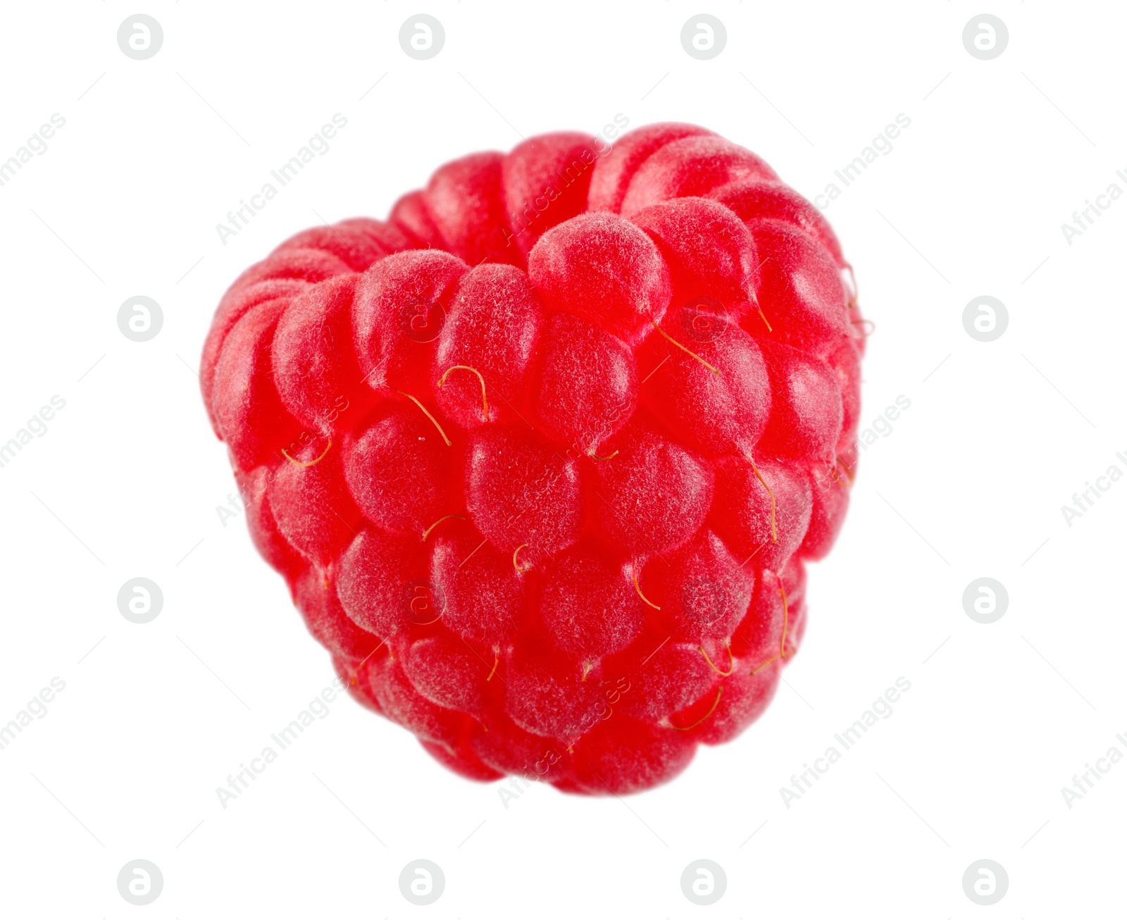 Photo of One tasty ripe raspberry isolated on white