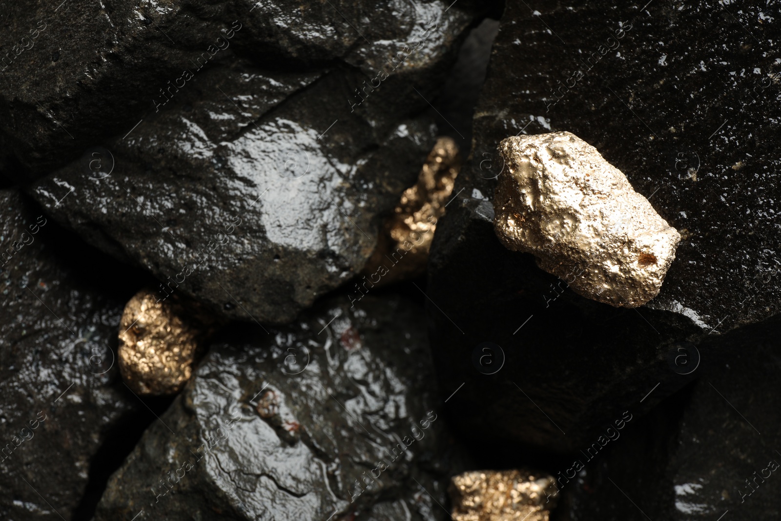 Photo of Shiny gold nuggets on wet stones, above view