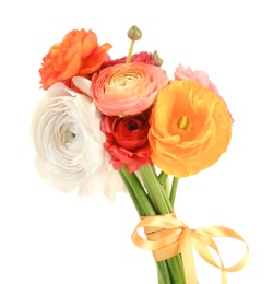 Beautiful ranunculus flowers on white background