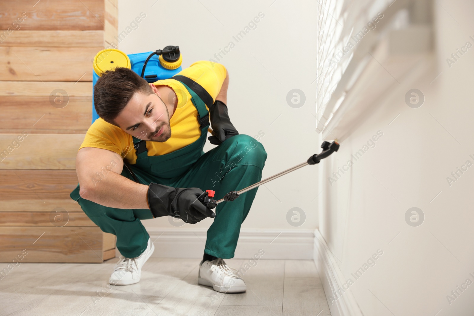 Photo of Pest control worker spraying insecticide on window sill at home