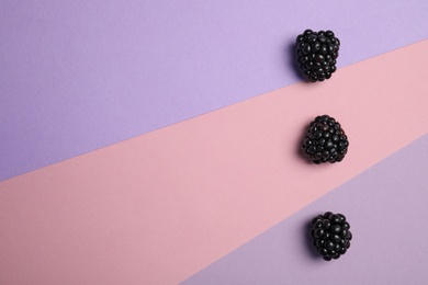 Flat lay composition with ripe blackberries on color background