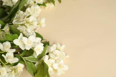 Aromatic jasmine flowers and green leaves on beige background, closeup. Space for text