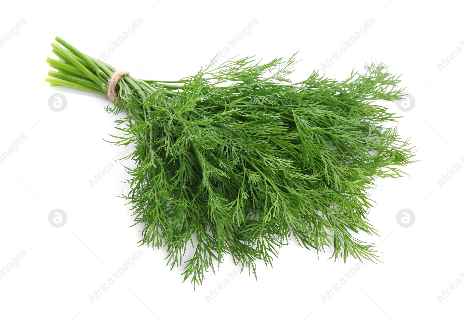 Photo of Bunch of fresh green dill isolated on white