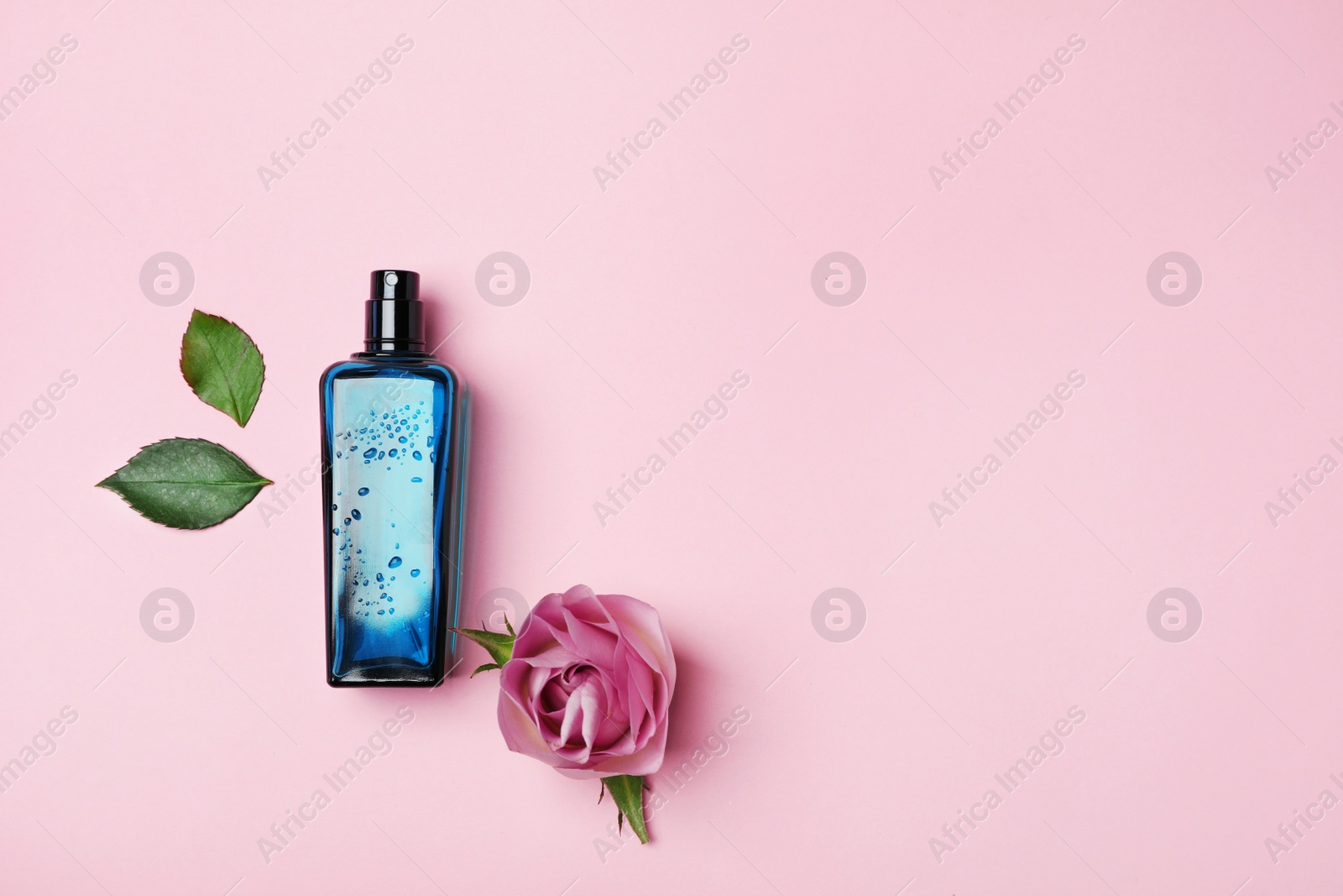 Photo of Bottle of perfume and rose on color background, top view