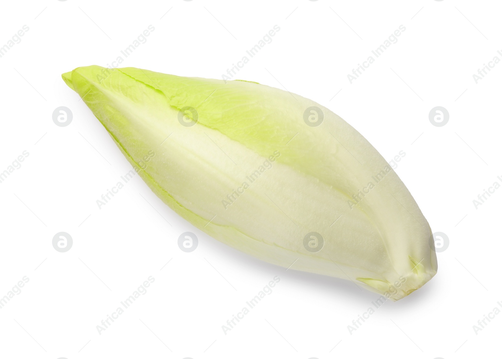 Photo of One raw ripe chicory isolated on white, top view