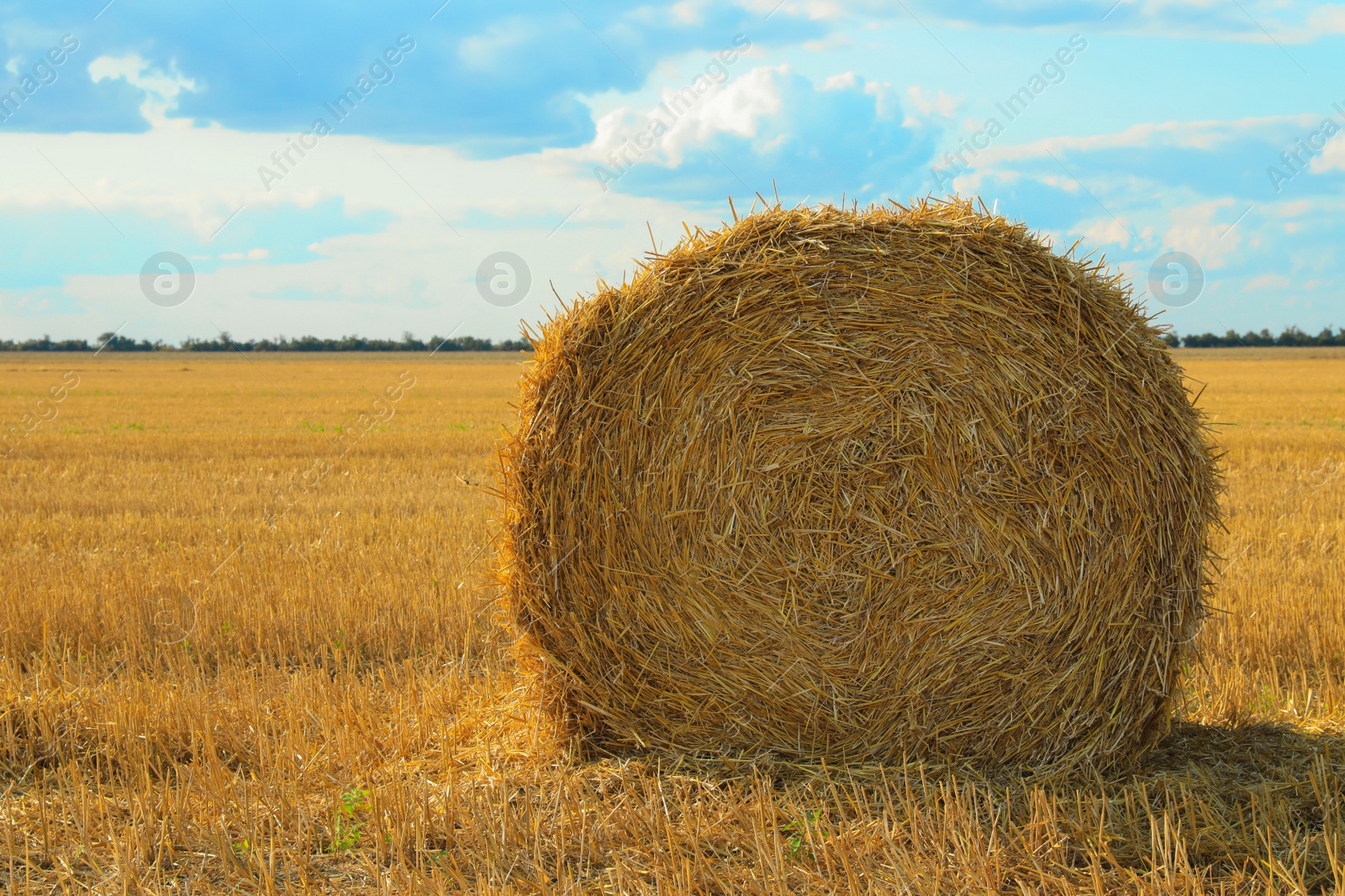 Photo of Beautiful view of agricultural field with hay bale