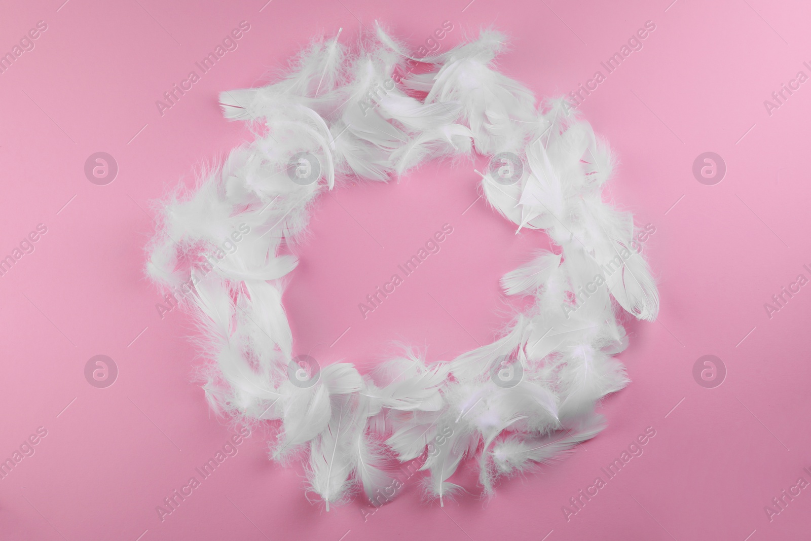 Photo of Frame made of fluffy feathers on pink background, flat lay
