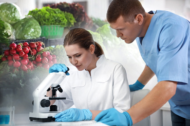 Image of Scientist with microscope at table and her colleague in laboratory. Food quality analysis