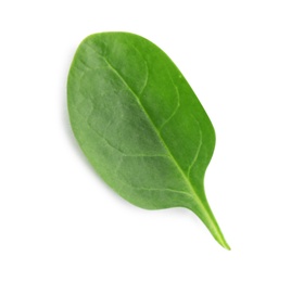 Photo of Fresh green leaf of healthy baby spinach on white background