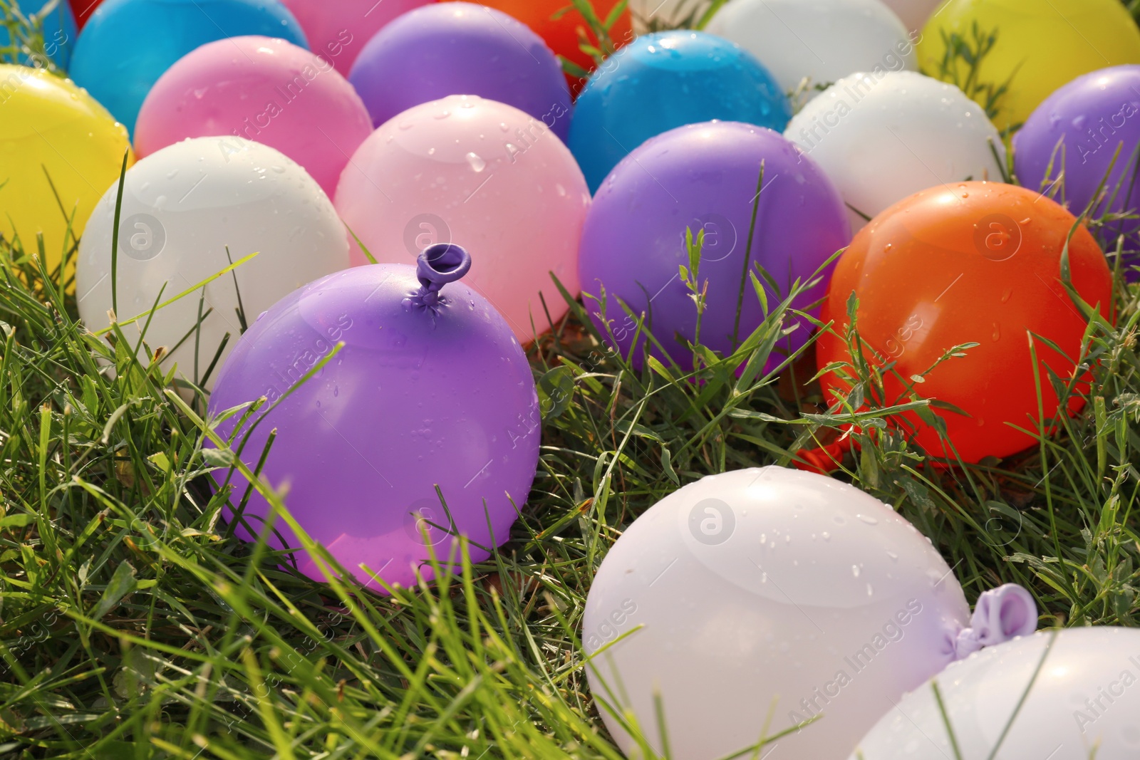 Photo of Lots of colorful water bombs on green grass outdoors, closeup