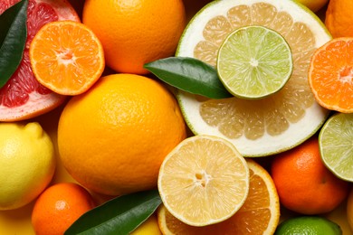 Different ripe citrus fruits with green leaves as background, top view