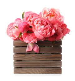 Wooden crate with beautiful pink peonies on white background