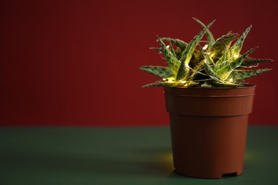 Photo of Cactus decorated with glowing fairy lights on table against red background. Space for text