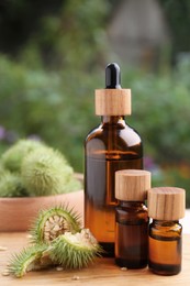 Photo of Bottles of essential oil and thorn apple on wooden table, closeup