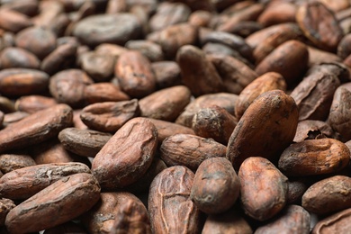 Photo of Tasty cocoa beans as background, closeup view