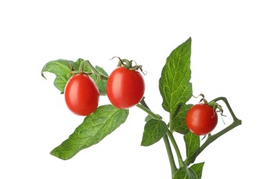 Photo of Stem with ripe cherry tomatoes and leaves isolated on white