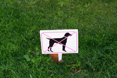 Photo of Sign board No Dogs Allowed on green grass outdoors