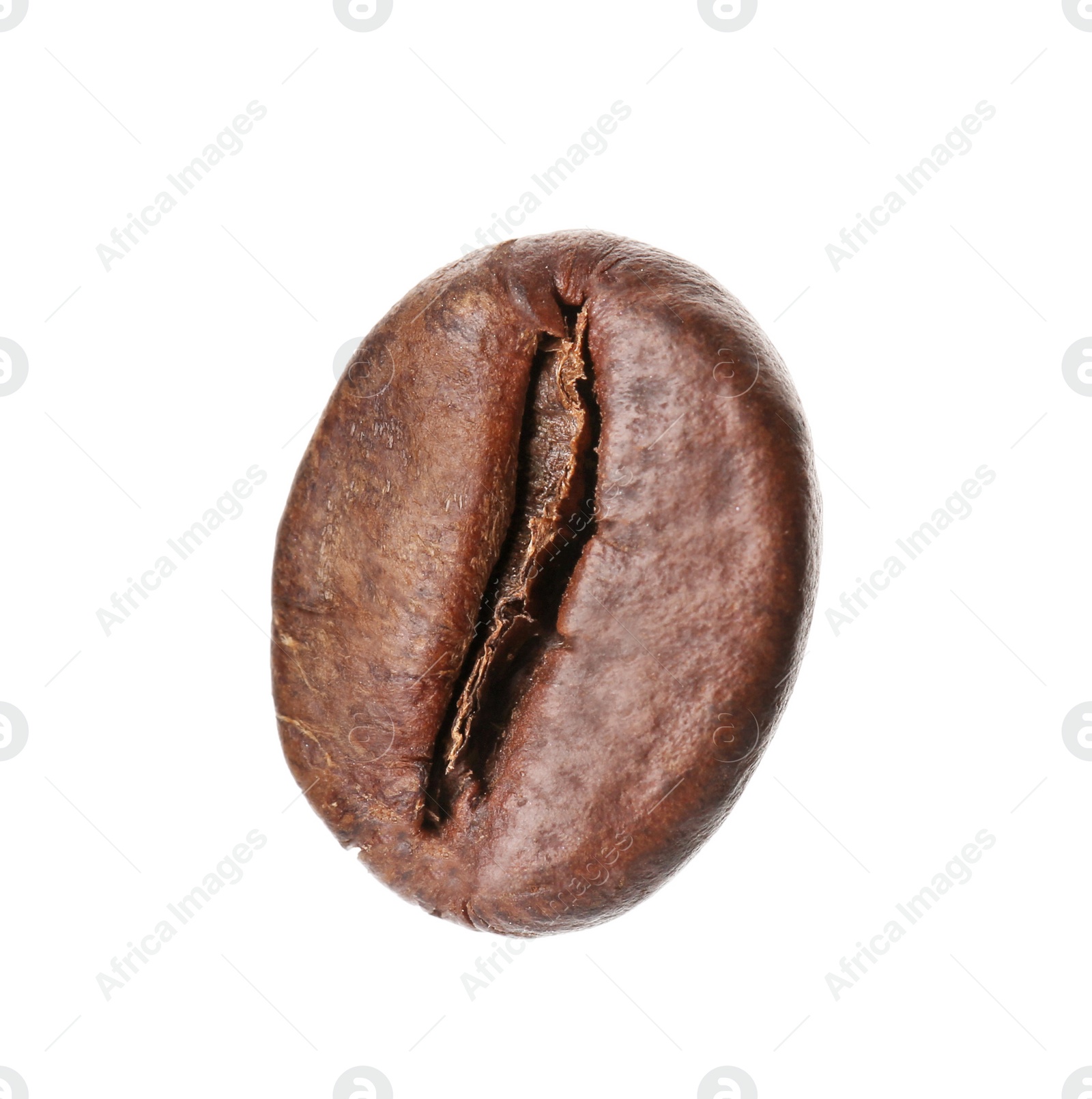 Photo of Coffee bean on white background