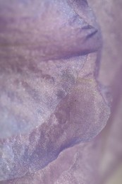 Photo of Beautiful purple Delphinium flower as background, macro view