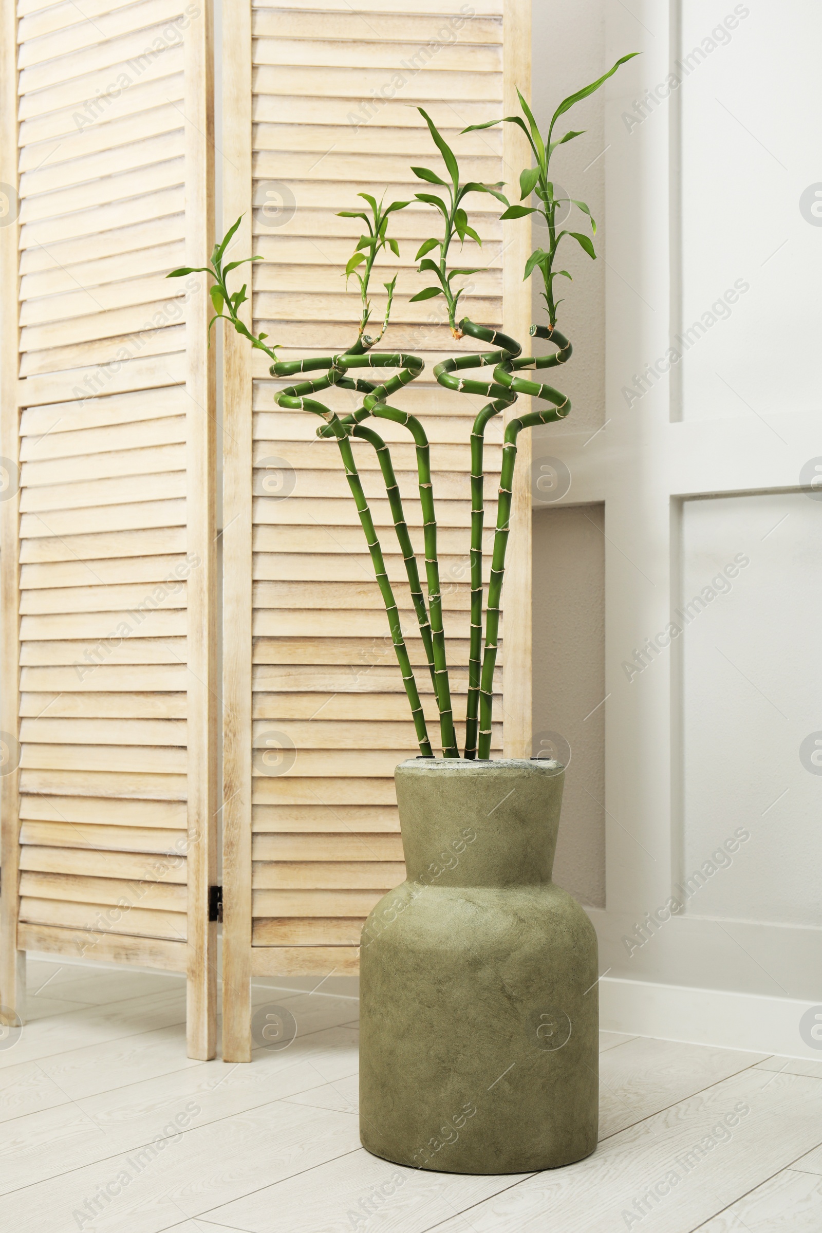 Photo of Vase with green bamboo stems on floor in room. Interior design