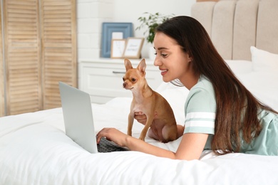 Photo of Young woman with chihuahua and laptop on bed. Home office concept