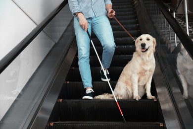 Photo of Blind person with long cane and guide dog on escalator indoors
