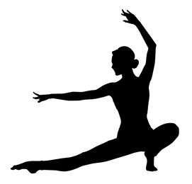 Image of Silhouette of professional gymnast exercising on white background