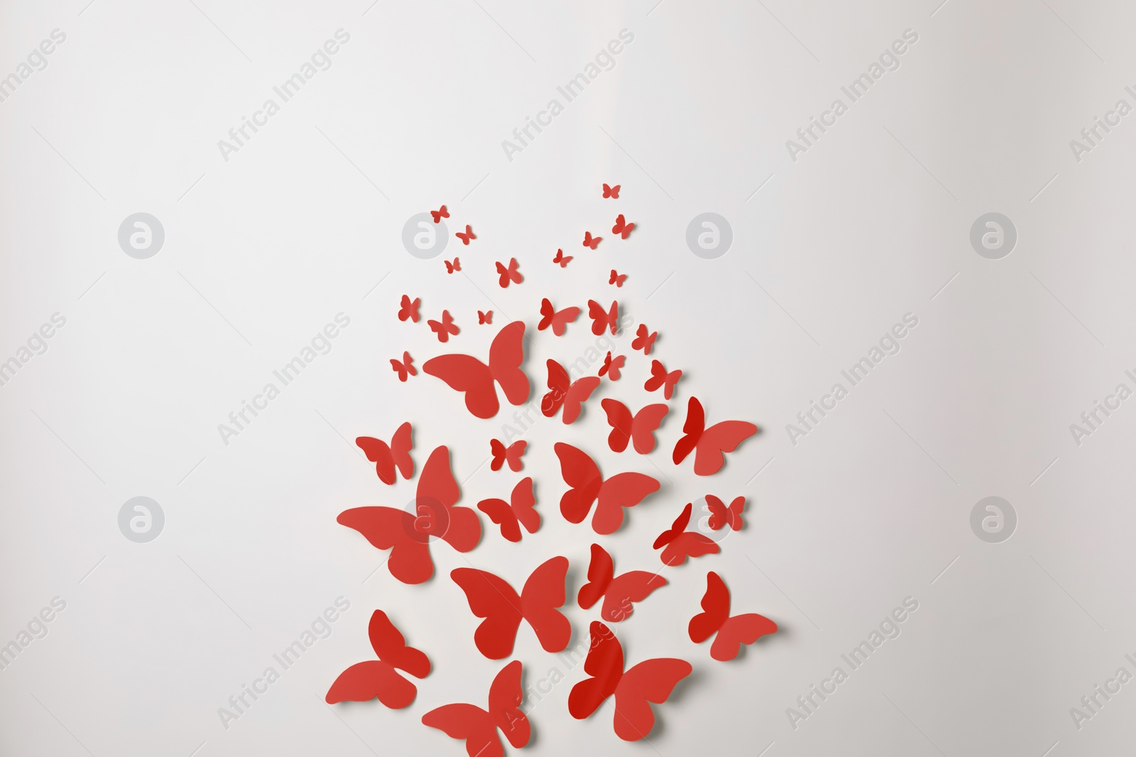 Image of Bright red paper butterflies on white wall