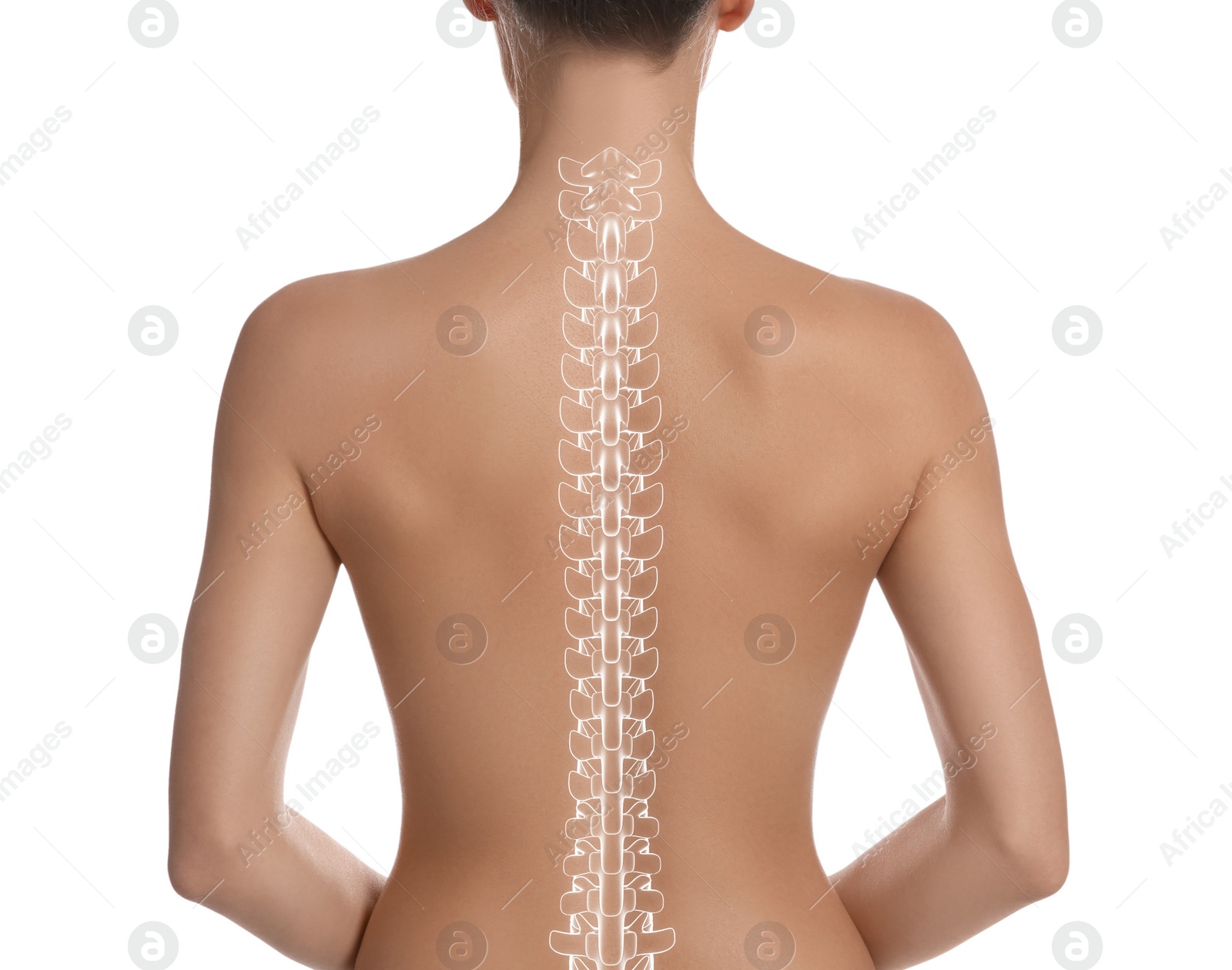 Image of Woman with healthy back on white background, closeup. Illustration of spine