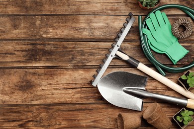 Photo of Flat lay composition with gardening tools and plants on wooden background. Space for text