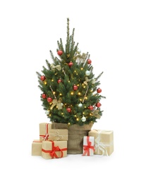 Beautiful decorated Christmas tree and gift boxes on white background