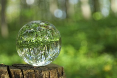 Photo of Beautiful green trees outdoors, overturned reflection. Crystal ball on stump in forest. Space for text