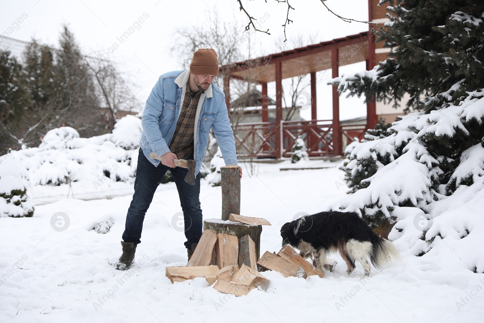 Photo of Man chopping wood with axe next to cute dog outdoors on winter day