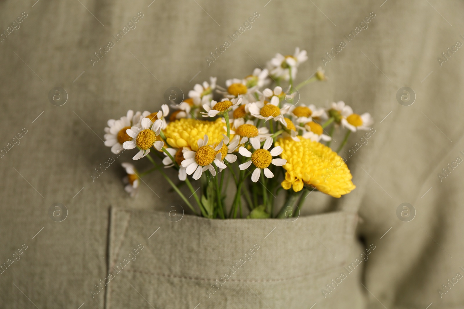 Photo of Woman with beautiful tender flowers in shirt's pocket, closeup