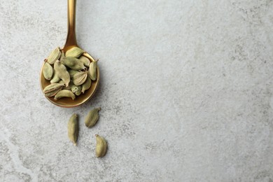 Spoon with dry cardamom pods on light table. Space for text