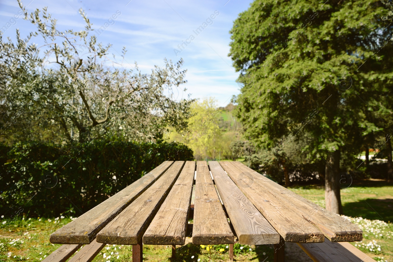 Photo of Empty wooden table in park on sunny day, space for text