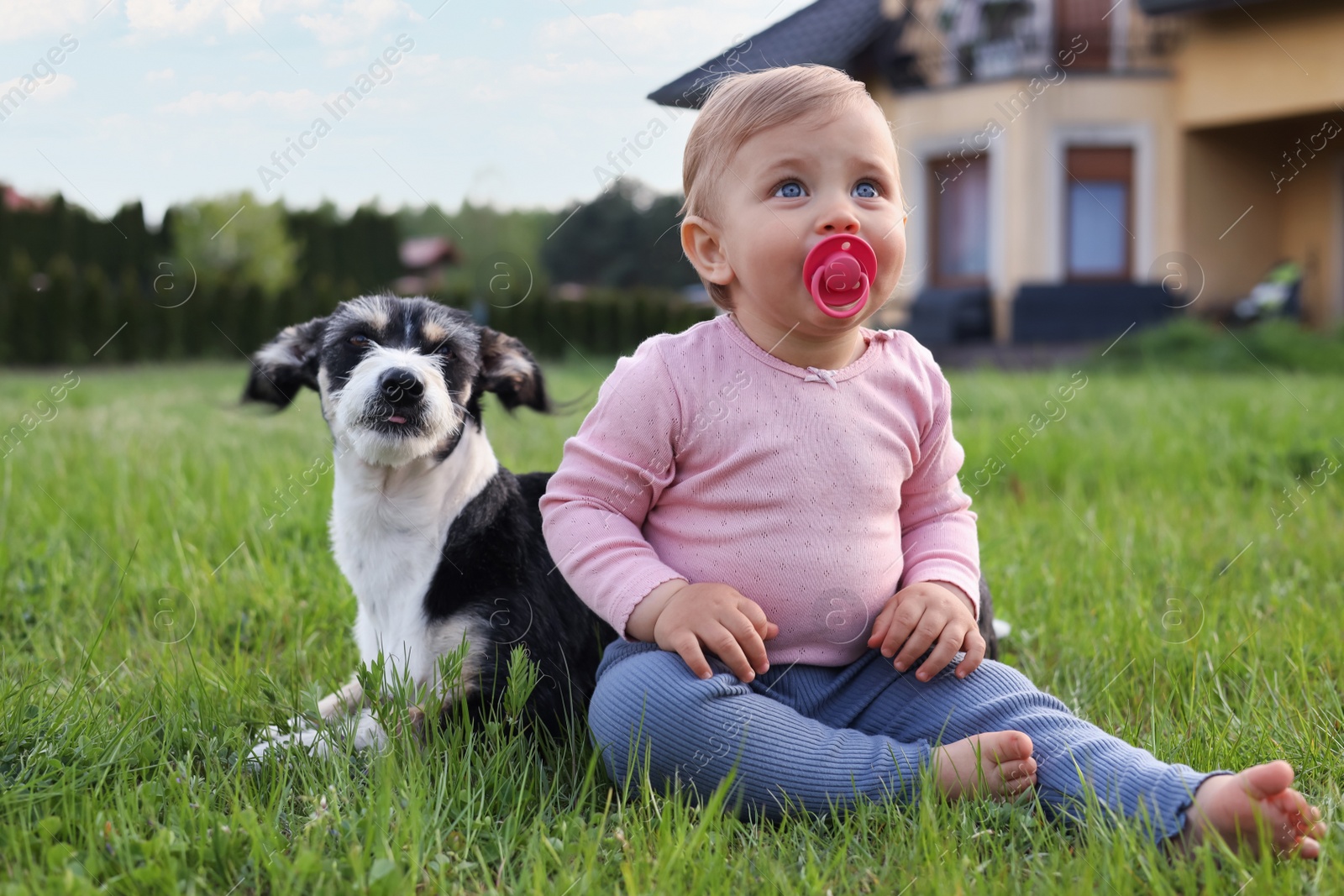 Photo of Adorable baby and furry little dog on green grass outdoors