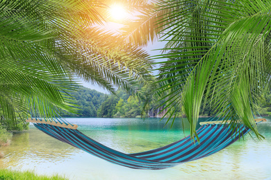 Image of Hammock between palms near sea on sunny day