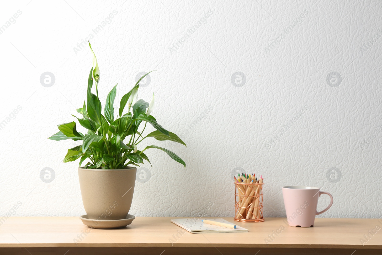 Photo of Potted peace lily plant, cup and notebook on wooden table near white wall. Space for text