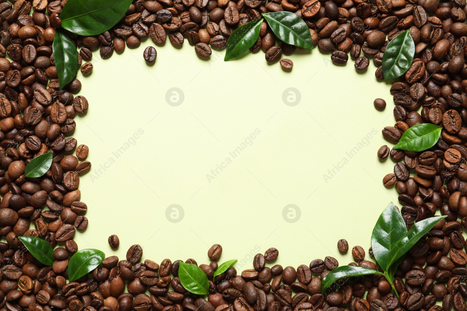 Photo of Frame made of fresh green coffee leaves and beans on light green background, top view. Space for text