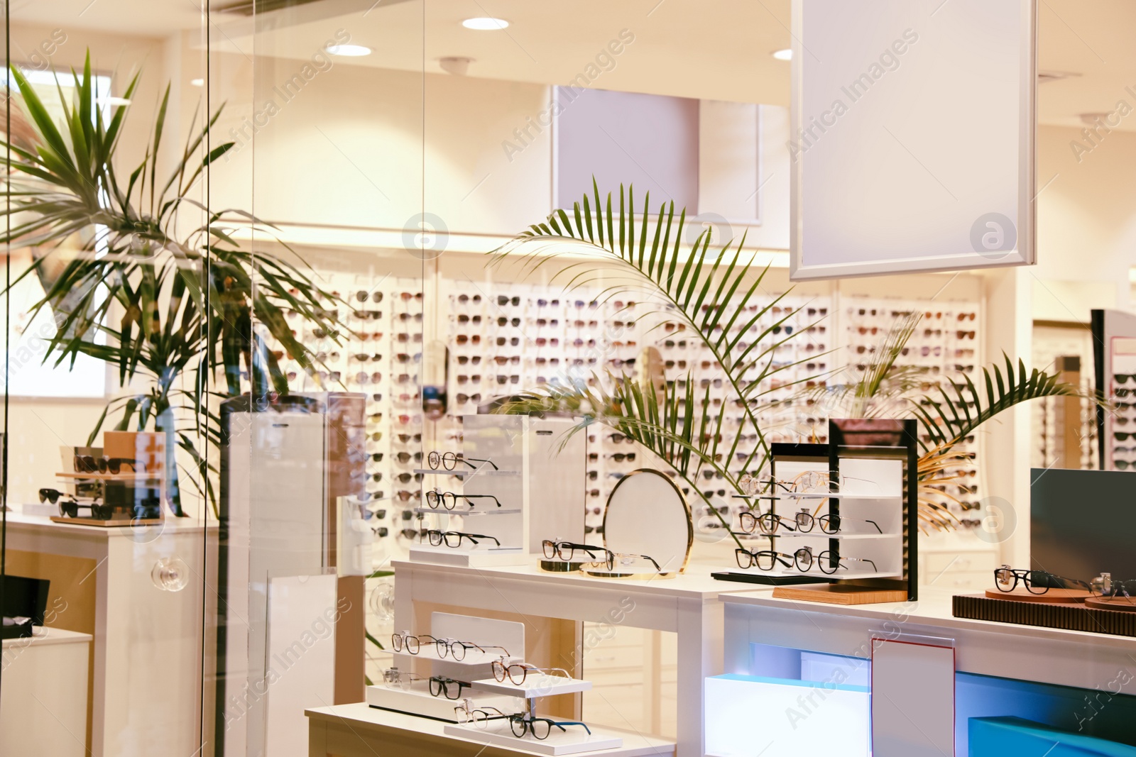 Photo of Showcase with different glasses in optical store