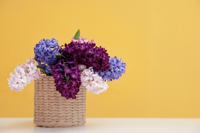 Photo of Beautiful hyacinths in wicker pot on table against color background, space for text. Spring flowers