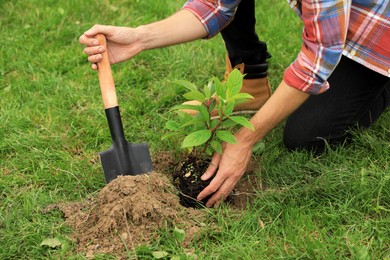 Man planting young green tree in garden, closeup