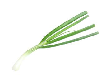 Photo of Fresh green spring onion isolated on white