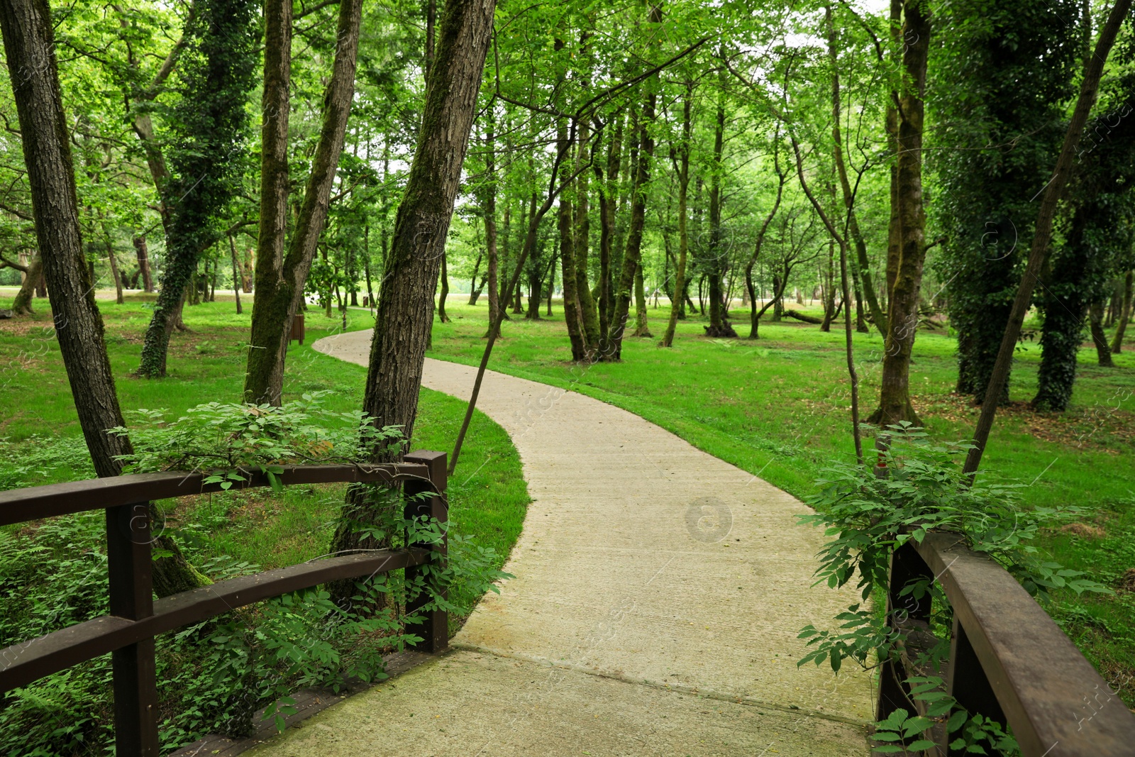 Photo of Picturesque view of tranquil park with green plants and bridge