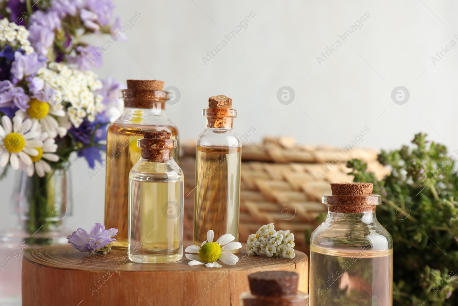 Photo of Aromatherapy. Different essential oils and flowers on against light background