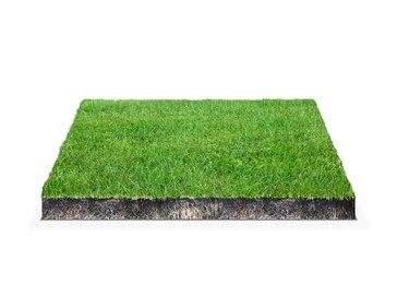 Image of Green grass with soil. Land piece in shape of square isolated on white