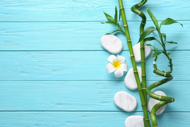 Photo of Flat lay composition with green bamboo stems on blue wooden background. Space for text