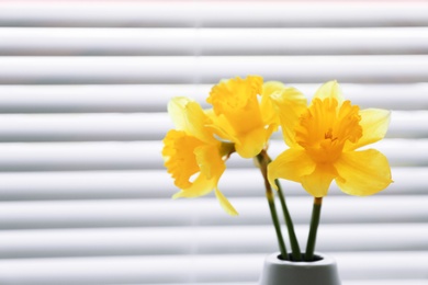 Photo of Beautiful bouquet against window blinds, space for text