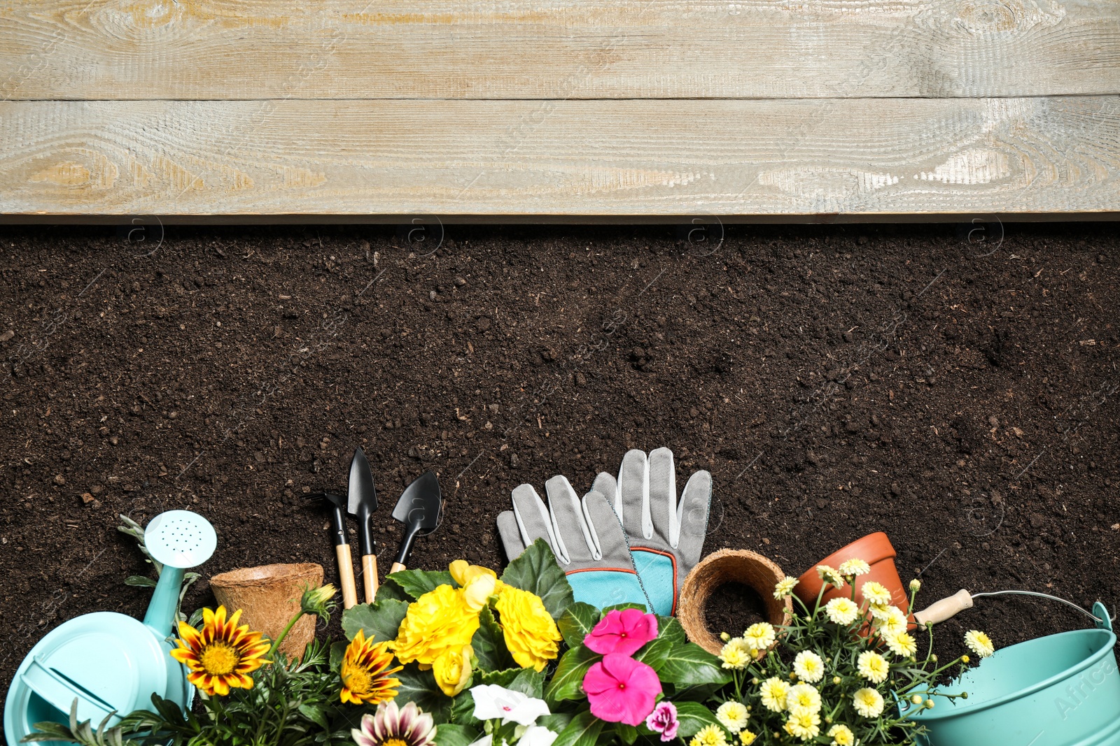 Photo of Flat lay composition with gardening tools and flowers on soil, space for text